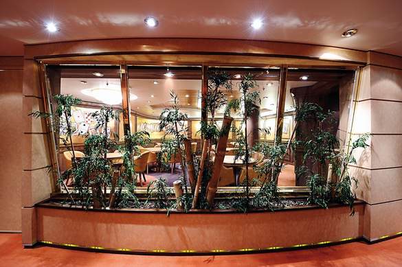 MSC Musica Class card room3.jpg